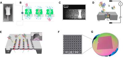 Large-scale nano-biosensing technologies